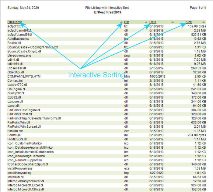 DSStudio File Directory Detail Report