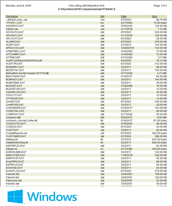 Directory File Report Windows