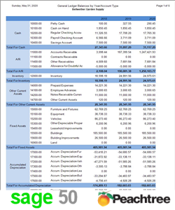 General Ledger 3 Years by Account Type Sage 50 / Peachtree Report