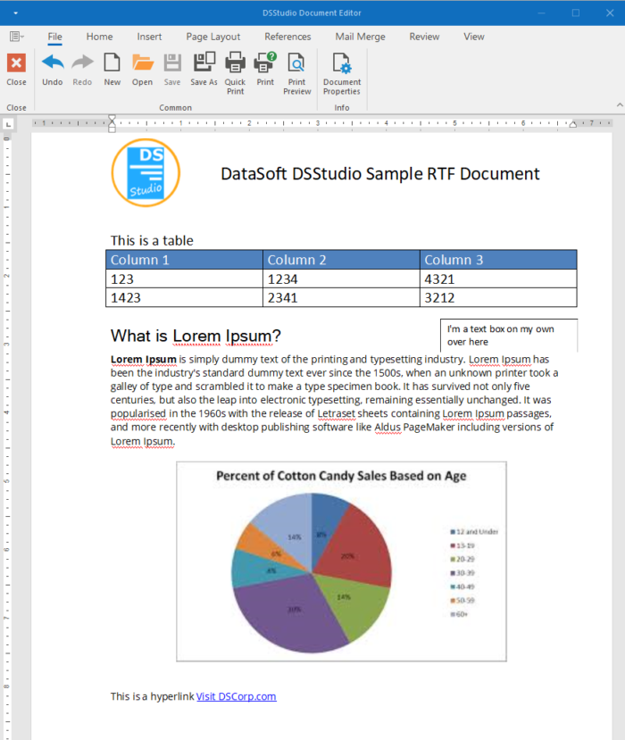 DSStudio Viewer Word Processor