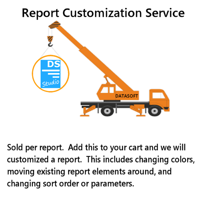 DSStudio Report Customization Service