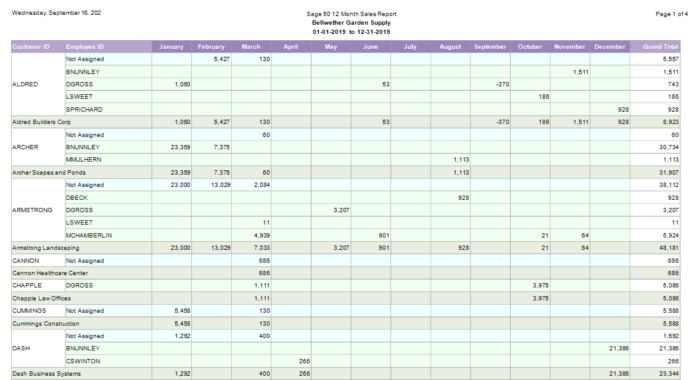 Sage50 12 Month Sales Report Sample 1