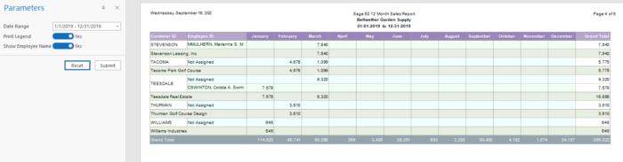 Sage50 12 Month Sales Report Sample 2