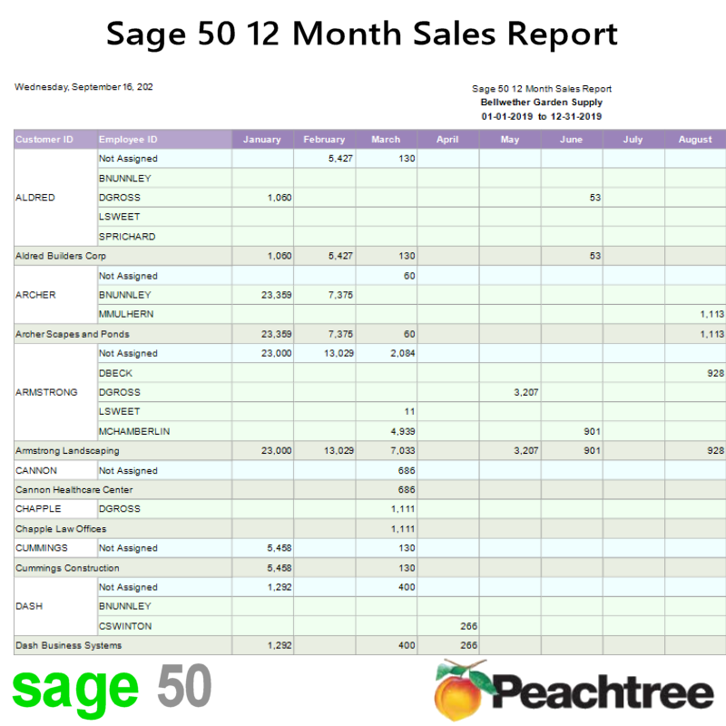 Sage 50 12 Months Sales Report