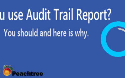 Sage 50 Audit Trail Report