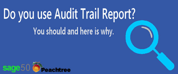 Sage 50 Audit Trail Report